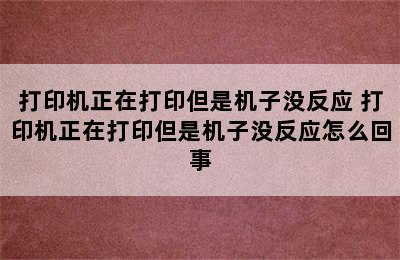 打印机正在打印但是机子没反应 打印机正在打印但是机子没反应怎么回事